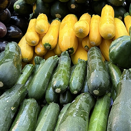 COURGETTE LEGUME DE SAISON ETE patrick seche la baule producteur local maraicher