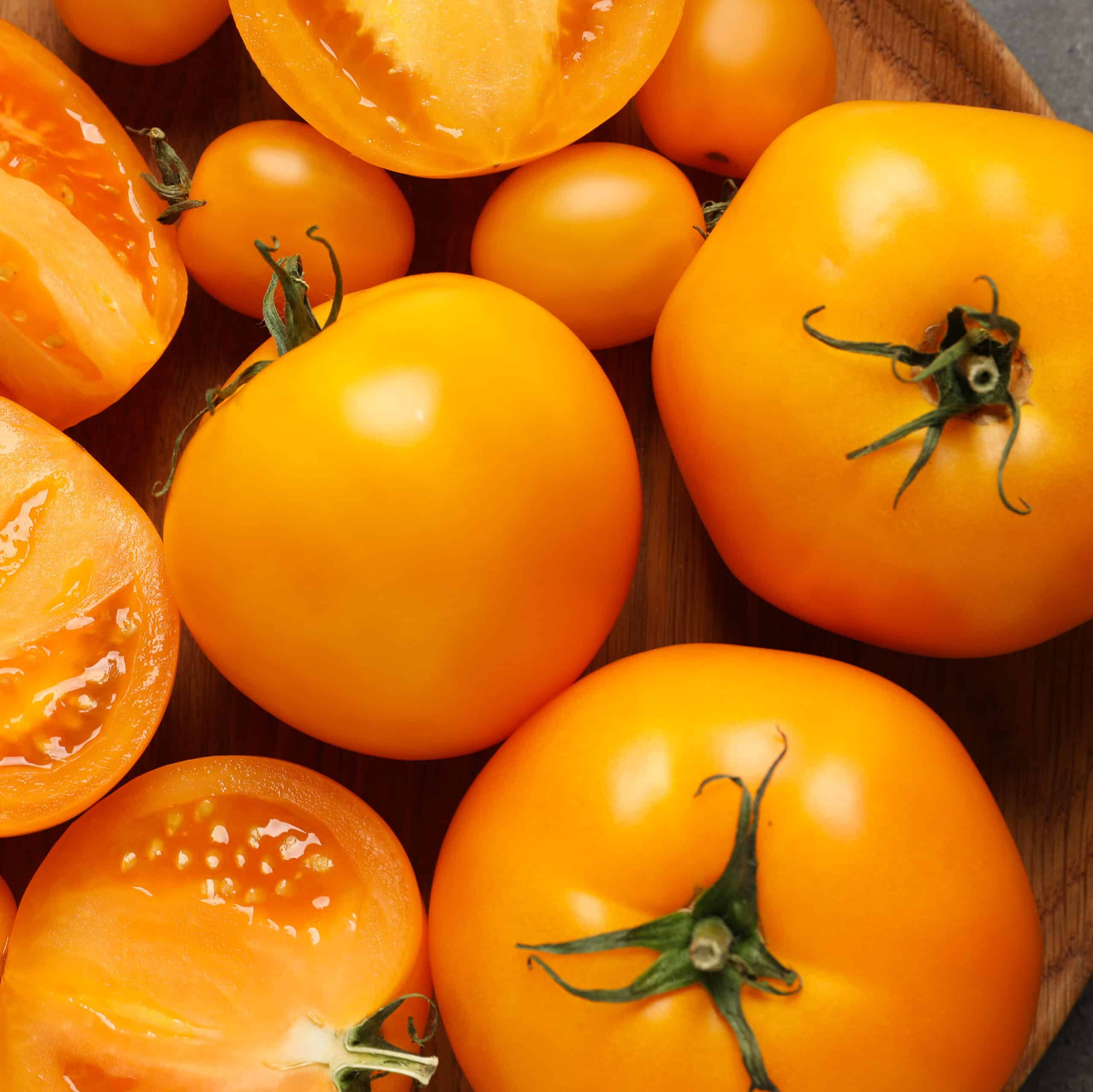 Tomate LEMON tomate ancienne patrick seche la baule producteur local maraicher
