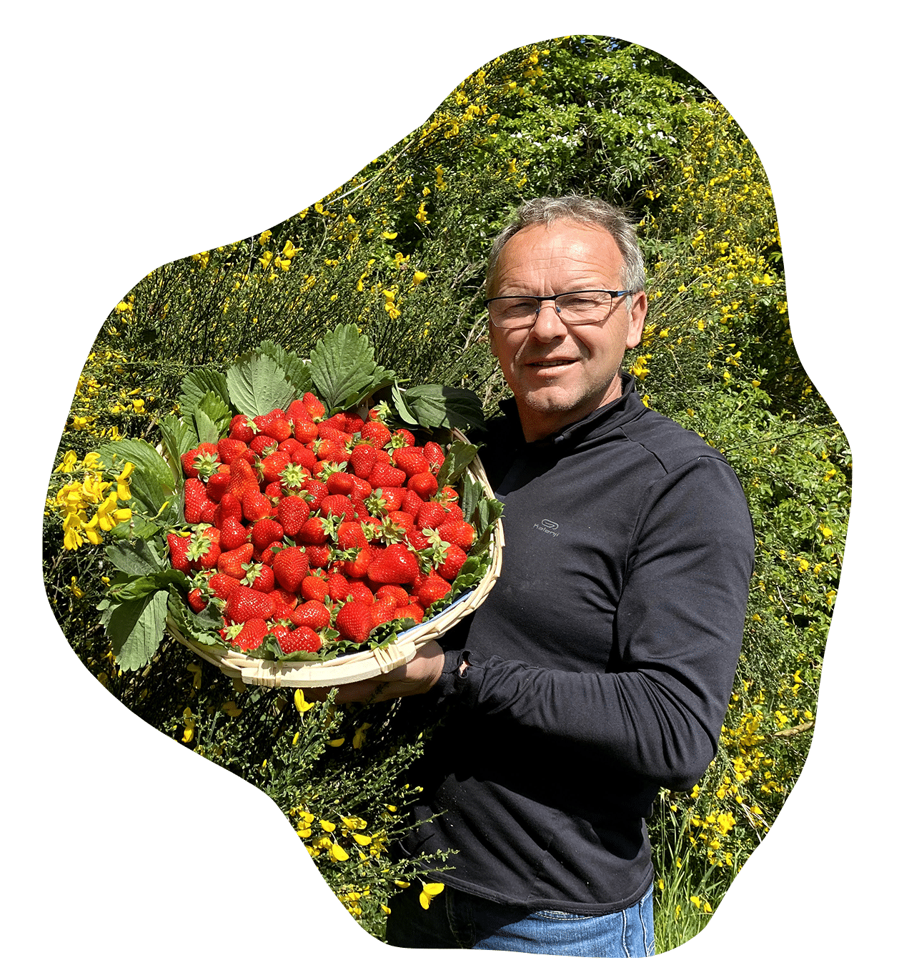 patrick seche fraise la baule fruits rouges